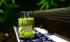 “嗜茶者”最不能錯(cuò)過的三款春茶