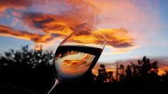 為什么說葡萄酒是養(yǎng)生飲品，這里有最全的回答