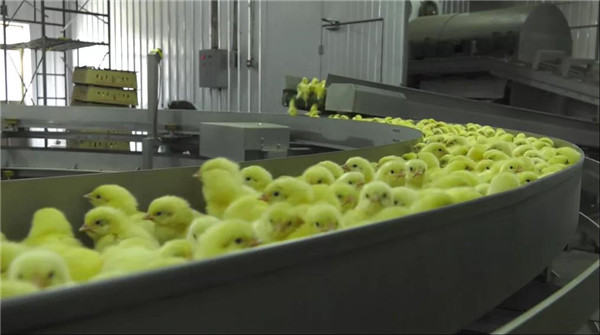 現(xiàn)代化管理