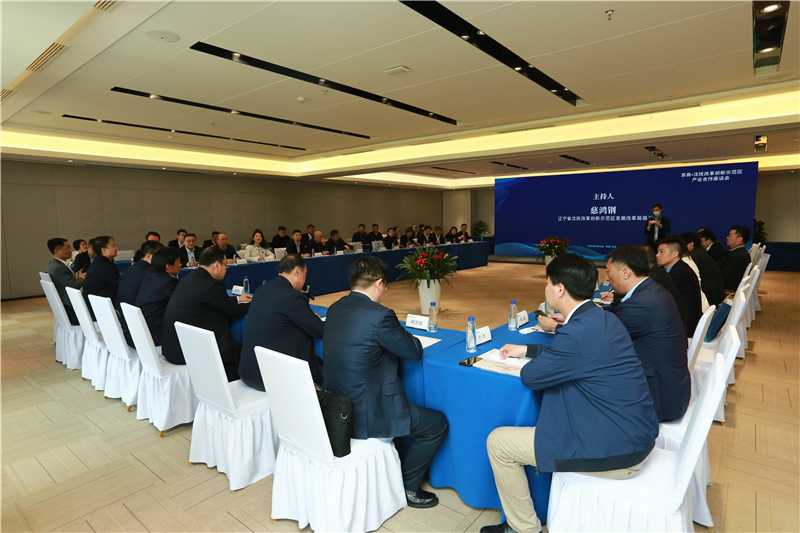 蘇商·沈撫新區(qū)產(chǎn)業(yè)合作座談會