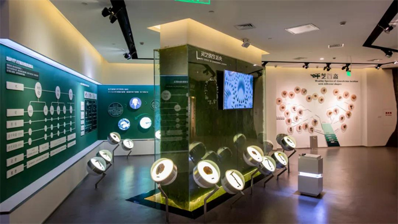 中華靈芝文化館