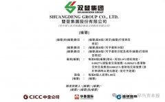 雙登股份通過(guò)港交所上市聆訊，將成AIDC配套儲(chǔ)能第一股